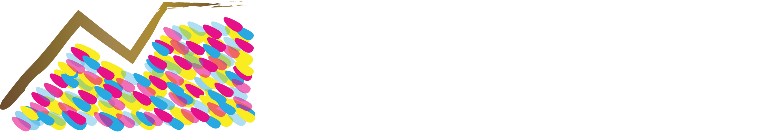 Faircape Security Solutions Logo white | Faircape Group